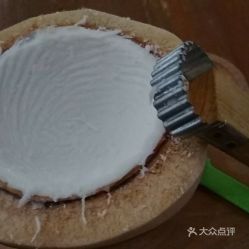 陈御椰子冰 凯悦华庭店 的一粒椰青好不好吃 用户评价口味怎么样 汕头美食一粒椰青实拍图片 大众点评