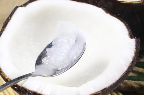 椰子图片素材下载 食品餐饮素材下的蔬菜水果图片素材