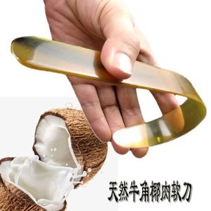 海南红椰子肉