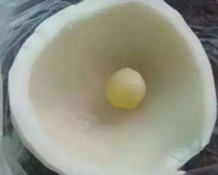 美食 喝了这么多年椰子水,居然不知道椰子这么厉害