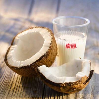 海南特产 南国食品 椰子粉 营养早餐 高钙椰子粉450g - 京东