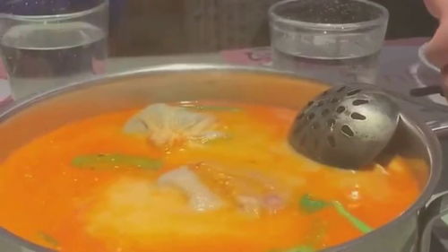四川美食 火锅底汤放椰子,这是什么操作 好期待这个味道