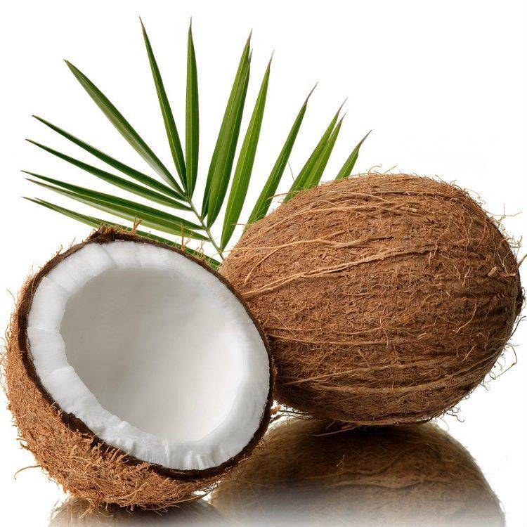 源头好货 山东福椰子食品20kg桶装食用椰子油及氢化椰子油批发指南